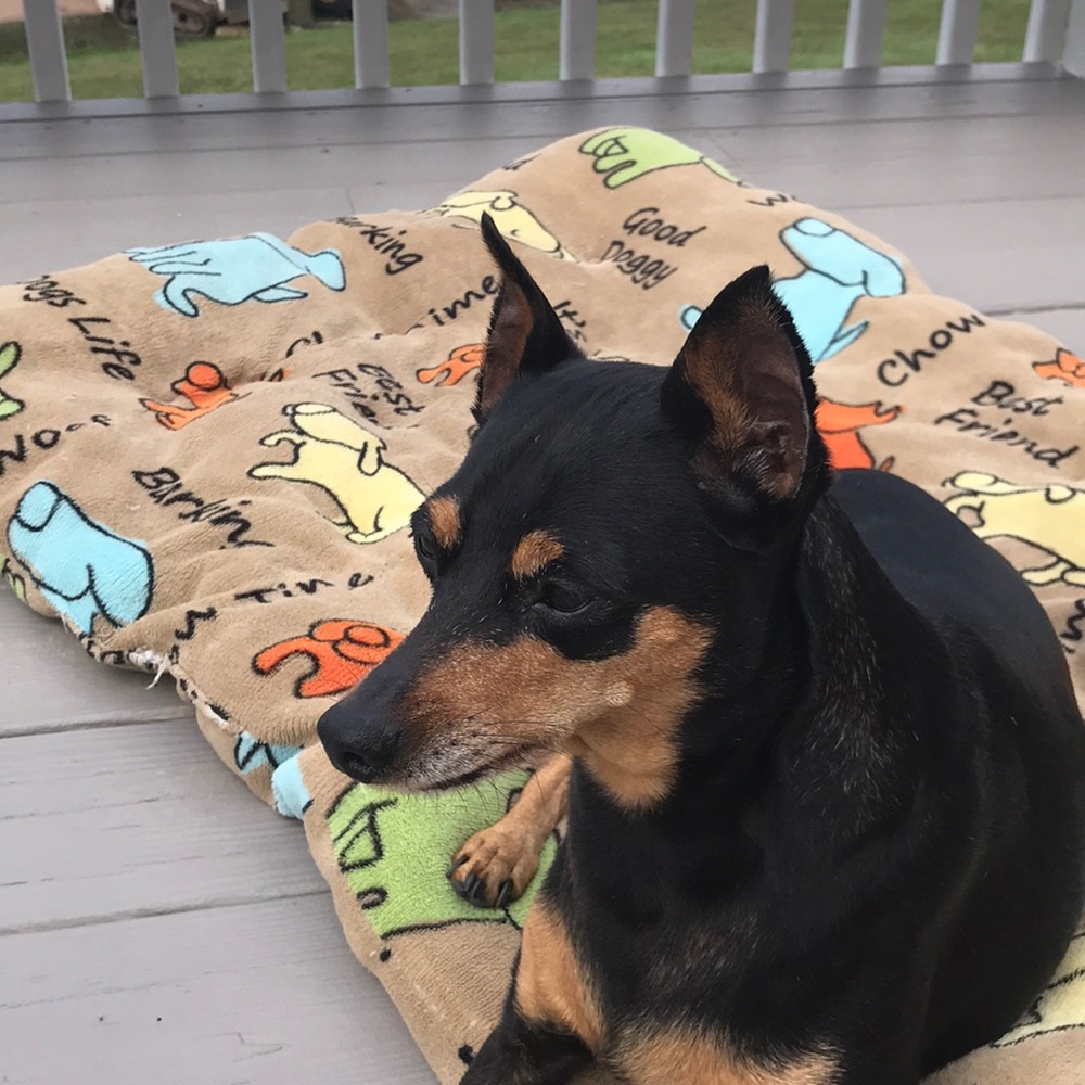 Meet your Posher, Susan